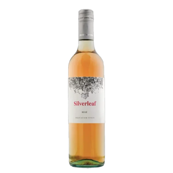 Churchview Silverleaf Rose